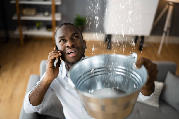 Best Emergency water damage restoration  in Centreville, MS