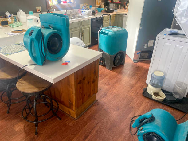 Best Basement water damage restoration  in Centreville, MS