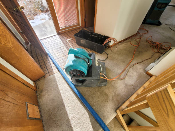 Best Mold removal after water damage  in Centreville, MS