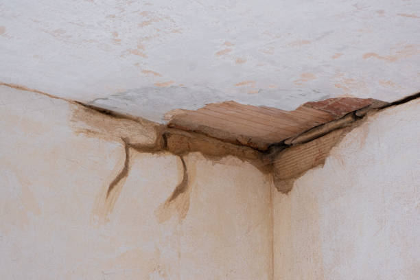 Best Ceiling water damage repair  in Centreville, MS
