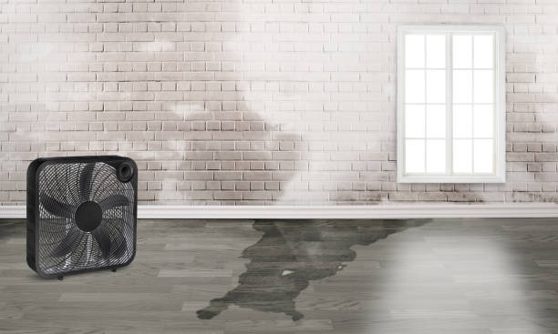  Centreville, MS Water damage restoration Pros
