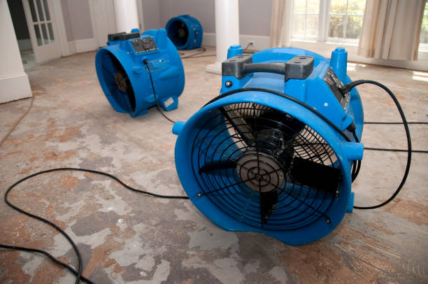 Trusted MS Water damage restoration Experts