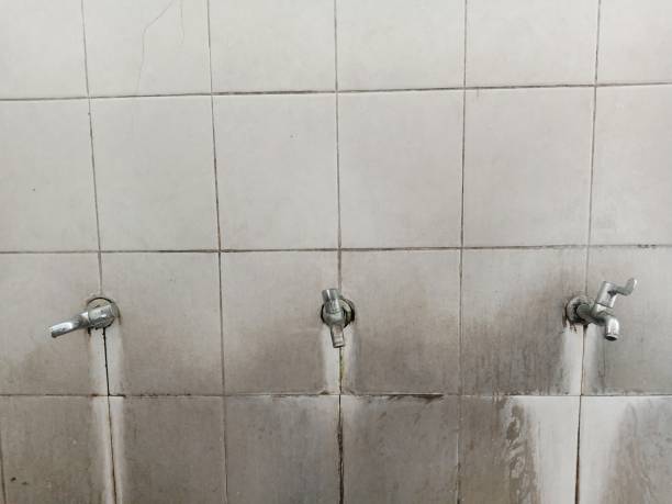 Best Water damage contractors near me  in Centreville, MS