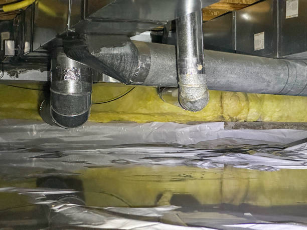 Best Ceiling water damage repair  in Centreville, MS