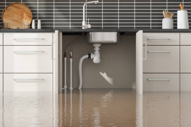 Best Flood damage cleanup  in Centreville, MS