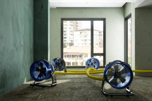 Best Sewage cleanup and water damage restoration  in Centreville, MS