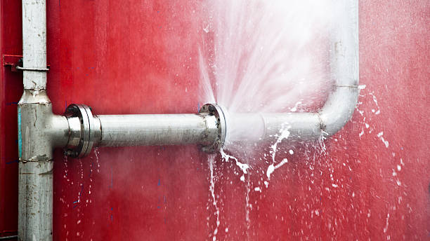 Best Water damage restoration cost  in Centreville, MS